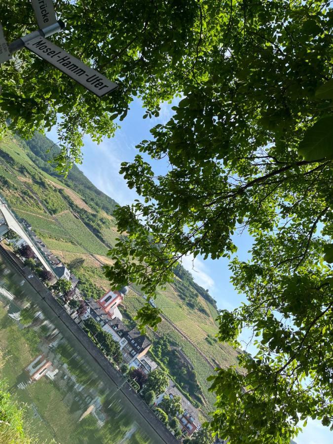 Ferienhaus Ankerpunkt Zell an der Mosel Exteriör bild