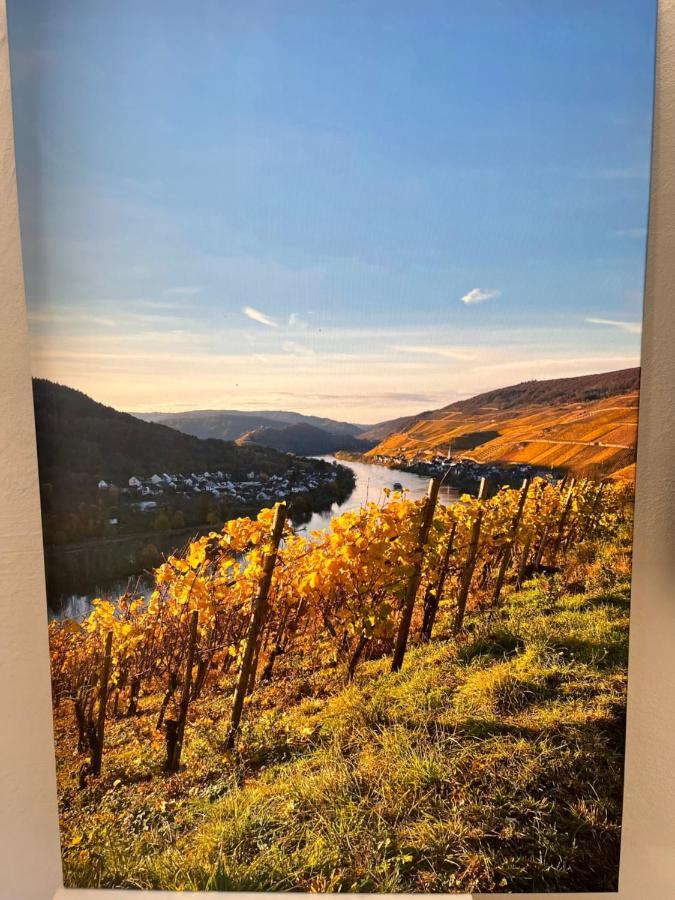 Ferienhaus Ankerpunkt Zell an der Mosel Exteriör bild